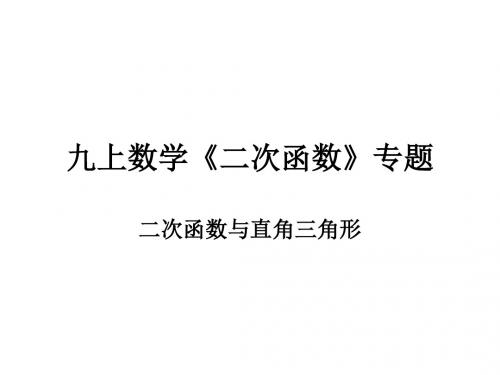 成都市东湖中学九上数学《二次函数》专题---二次函数与直角三角形