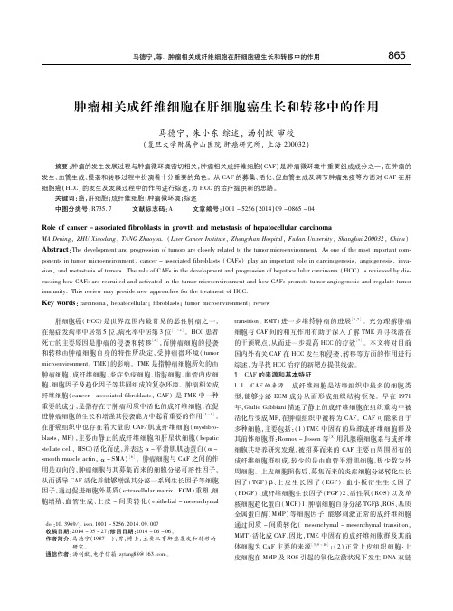 肿瘤相关成纤维细胞在肝细胞癌生长和转移中的作用