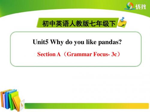 Unit5_SectionA(Grammar_Focus-3c)精品课件