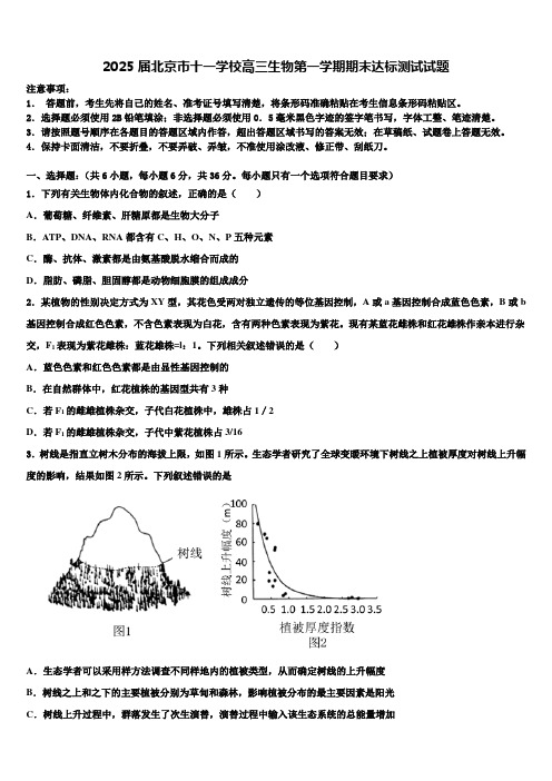 2025届北京市十一学校高三生物第一学期期末达标测试试题含解析