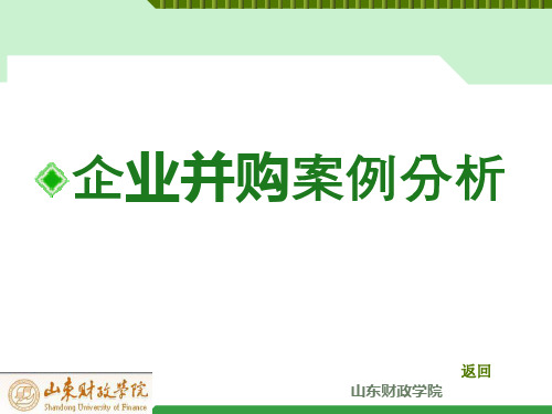 企业并购案例分析-文档资料