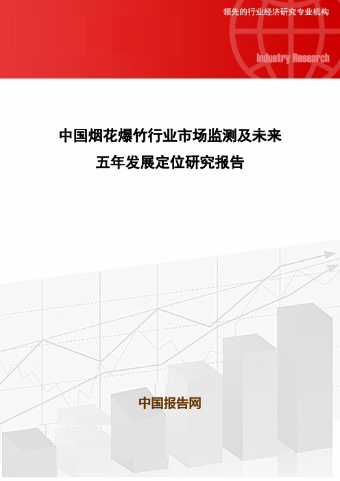 中国烟花爆竹行业市场监测及未来五年发展定位研究报告