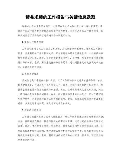 精益求精的工作报告与关键信息选取