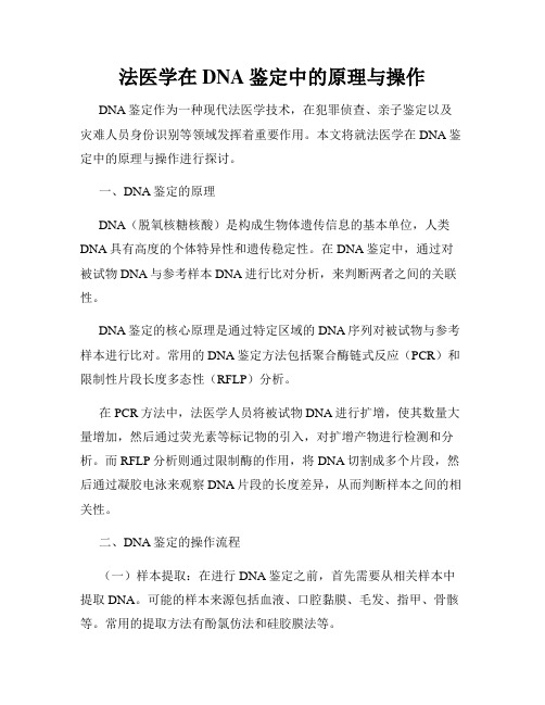 法医学在DNA鉴定中的原理与操作