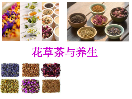 花草茶与养生.ppt