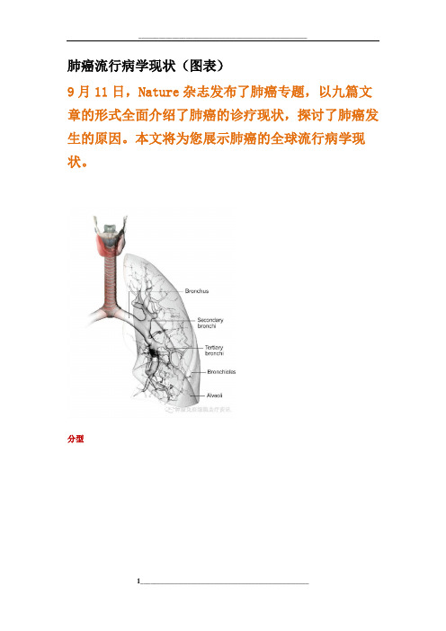 肺癌流行病学现状