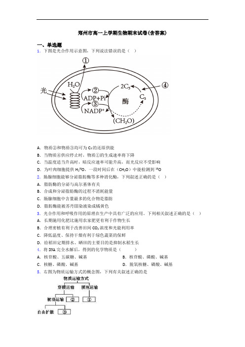 郑州市高一上学期生物期末试卷(含答案)