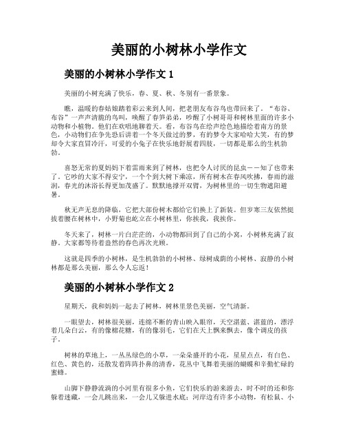 美丽的小树林小学作文