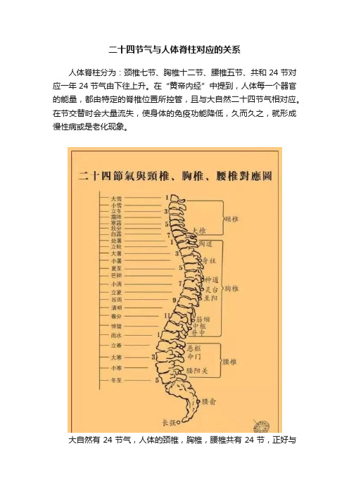 二十四节气与人体脊柱对应的关系