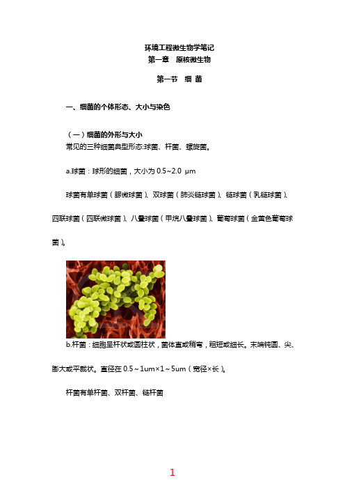 813环境工程微生物学考研精品笔记