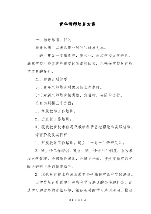 青年教师培养方案