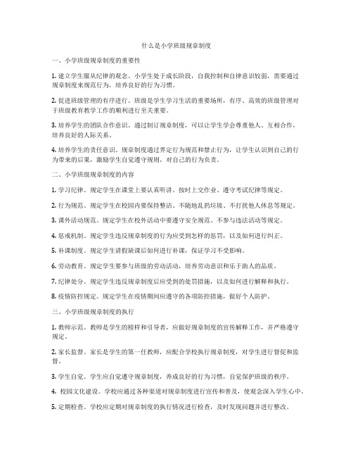 什么是小学班级规章制度