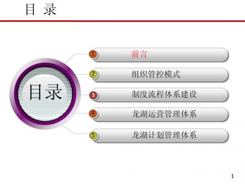 龙湖项目运营管理体系与房地产异地多项目管9032988