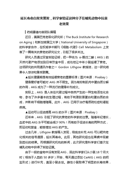 延长寿命白发变黑发，科学家验证这种分子在哺乳动物中抗衰老效果