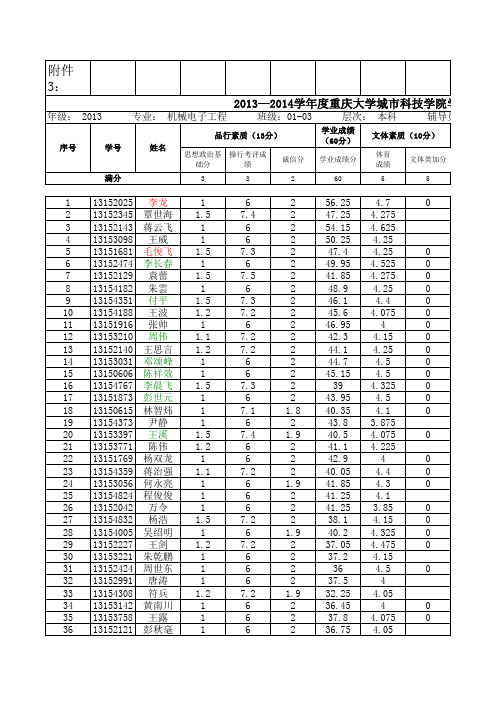 2013级综合测评汇总表-杨雪原老师