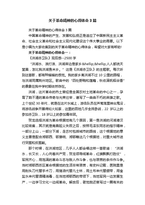 关于革命精神的心得体会3篇