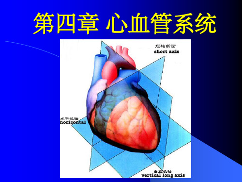 《心血管系统核医学》