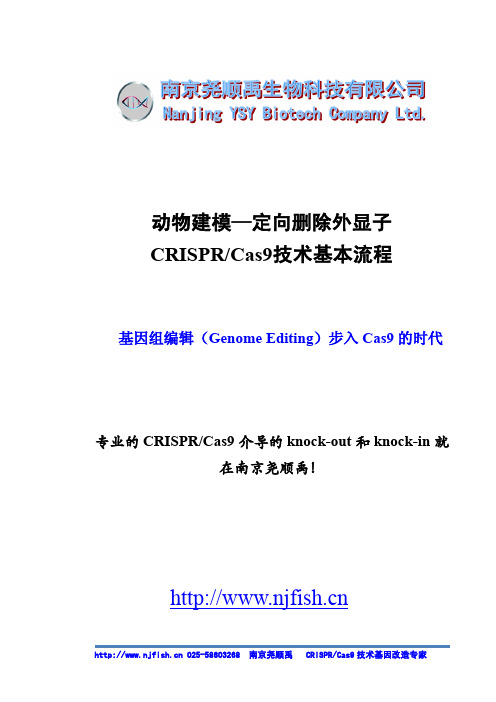 动物建模--定向删除外显子---CRISPR-Cas9技术流程.pdf