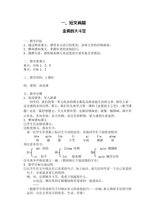 金黄的大斗笠+散步