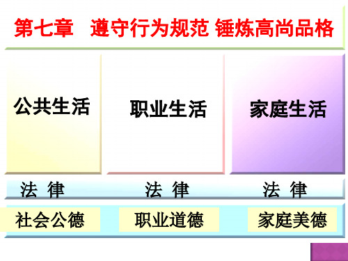 第七章 恋爱、婚姻家庭中的道德规范(PPT文档)