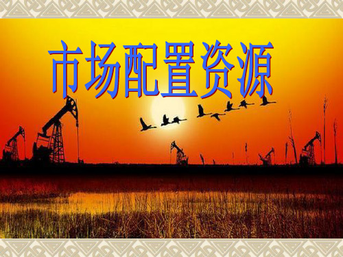 市场配置资源2017年公开课-课件