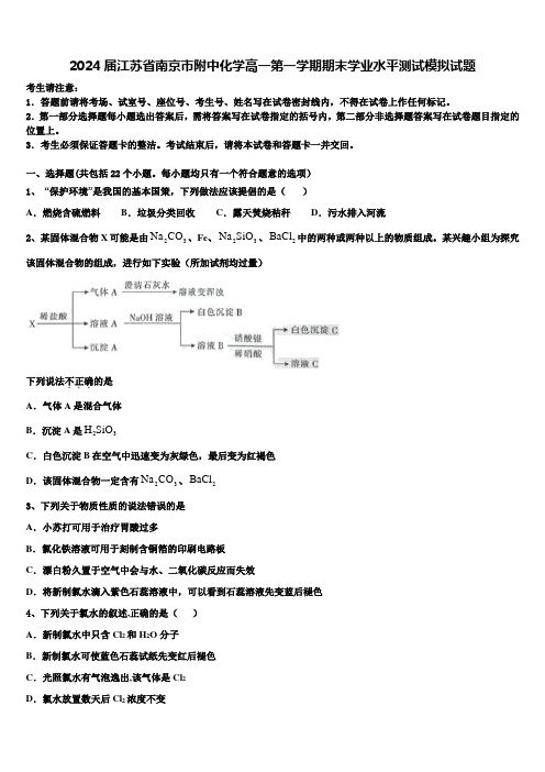 2024届江苏省南京市附中化学高一第一学期期末学业水平测试模拟试题含解析