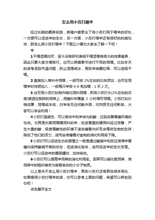 怎么用小苏打喂羊