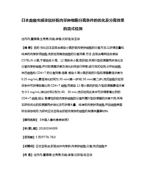 日本血吸虫感染鼠肝脏肉芽肿细胞分离条件的优化及分离效果的流式检测