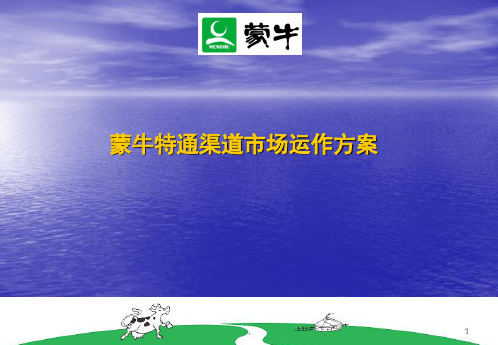 蒙牛冰淇淋特殊渠道战略规划(课堂PPT)