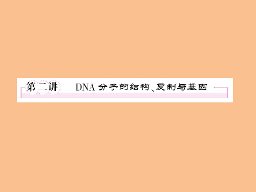 【新人教版】2012状元之路高考生物一轮复习课件必修二3-2DNA分子的结构、复制与基因