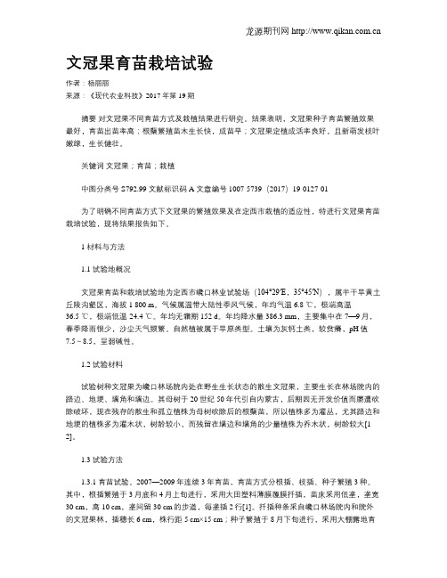 文冠果育苗栽培试验