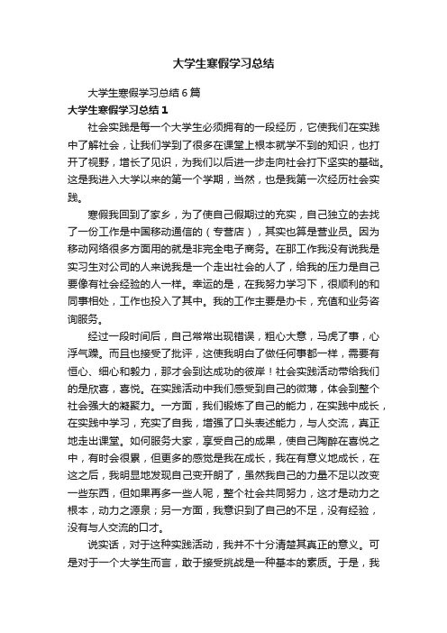 大学生寒假学习总结6篇