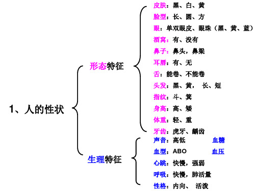 1课人的性状