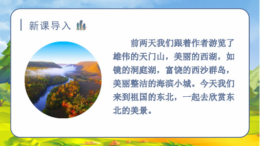 (教学课件)20.美丽的小兴安岭