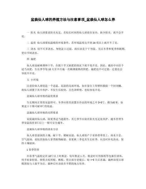 盆栽仙人球的养殖方法与注意事项_盆栽仙人球怎么养