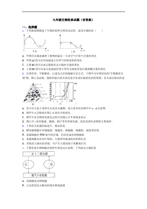 九年级生物经典试题(含答案)