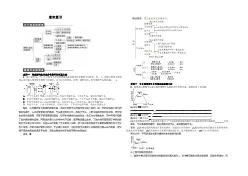 2020-2021学年高二生物浙科版必修3课时作业：第1章 植物生命活动的调节 Word版含解析