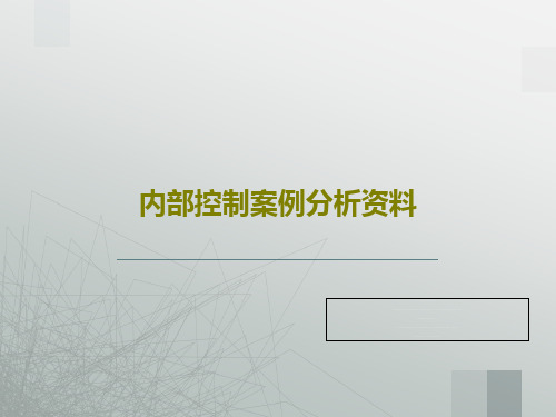 内部控制案例分析资料共25页文档