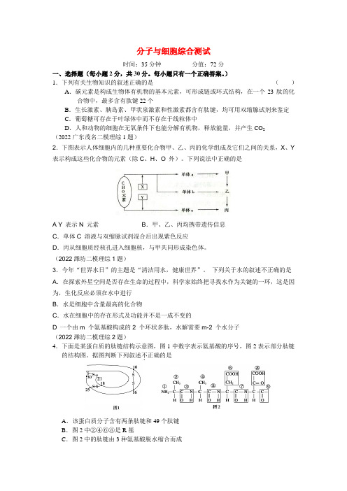 高三总复习《分子与细胞》模块综合测试 新人教版必修1