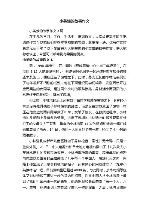 小英雄的故事作文