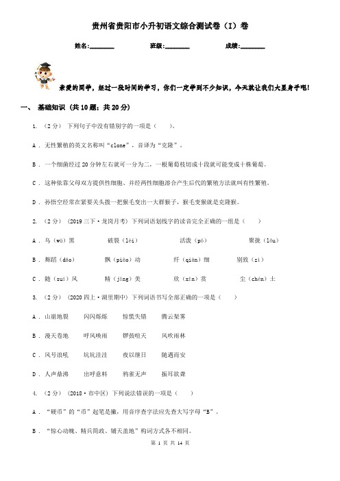 贵州省贵阳市小升初语文综合测试卷(I)卷