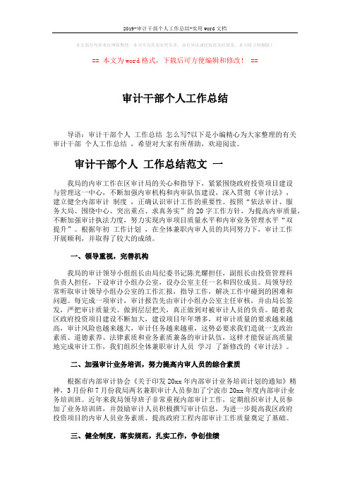 2019-审计干部个人工作总结-实用word文档 (4页)