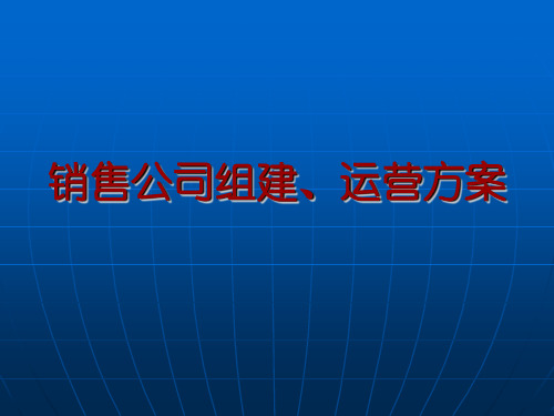 销售公司组建、运营方案