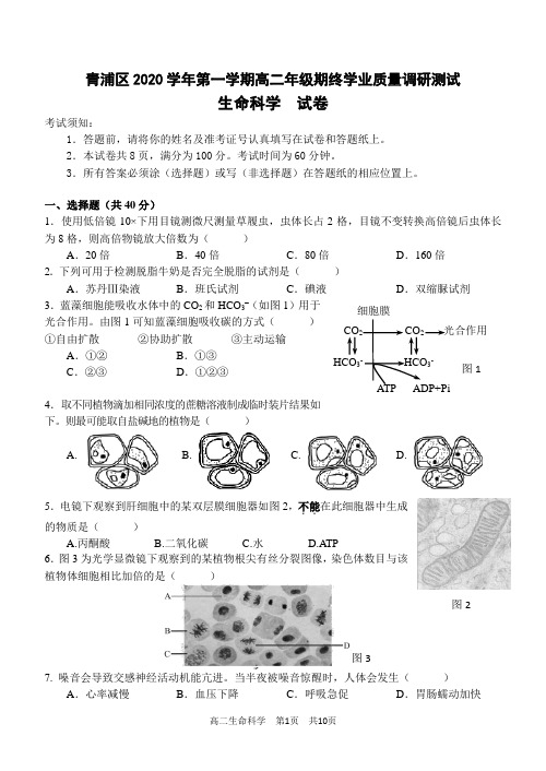 2020-2021学年上海市青浦区高中生物等级考一模卷