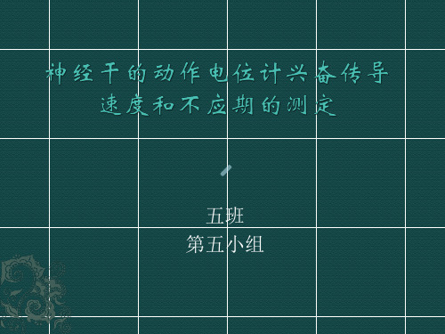 神经干的动作电位速度和不应期的测定计兴奋传导