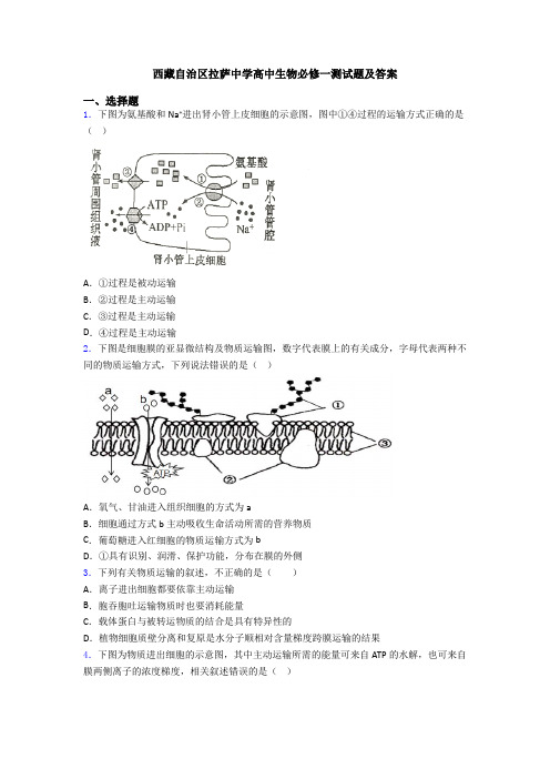 西藏自治区拉萨中学高中生物必修一测试题及答案