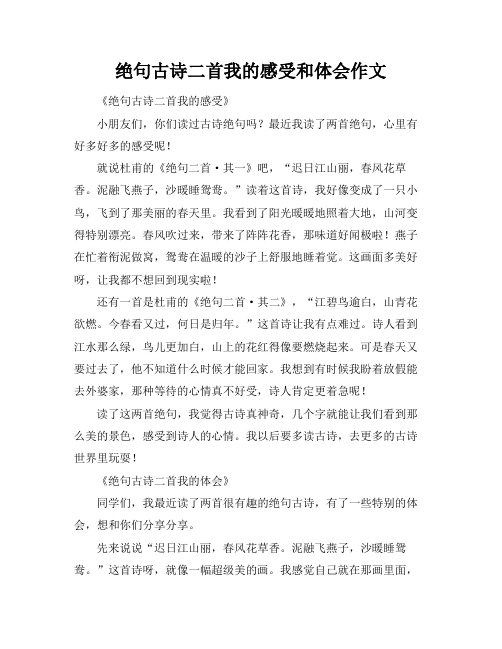 绝句古诗二首我的感受和体会作文