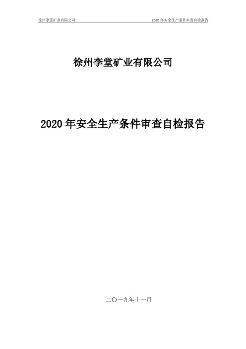 2020年度安全生产条件审查自审报告