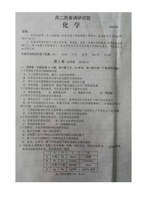 山东省临沂市罗庄区高二化学上学期期末考试试题(扫描版)(new)