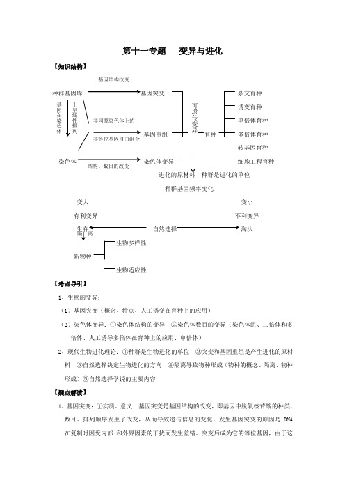 高三生物二轮复习专题十一变异与进化大纲版教案